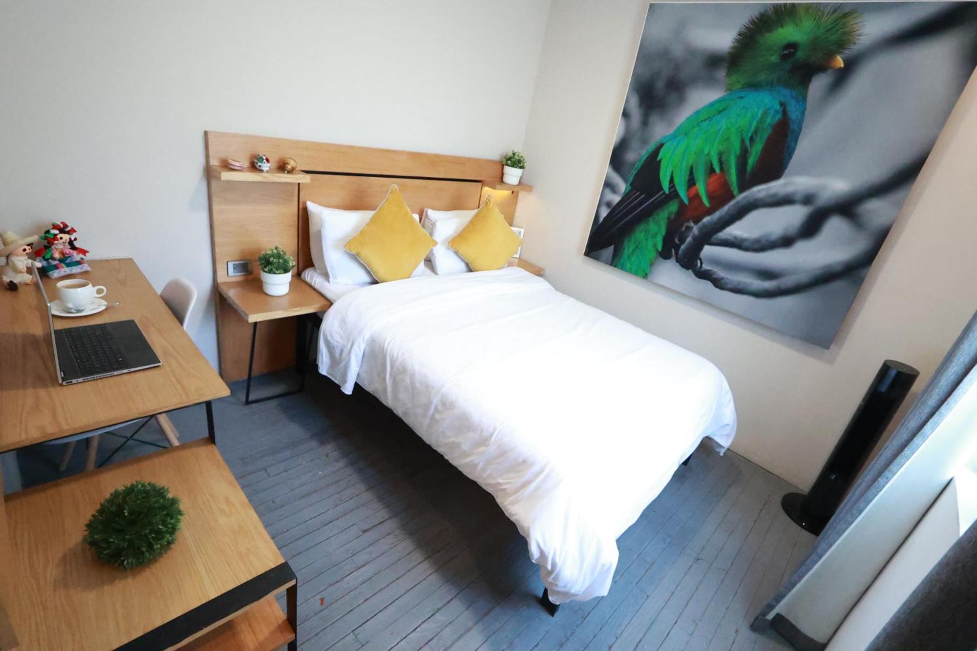 Casa Panuco Bed and Breakfast Μεξικό Εξωτερικό φωτογραφία