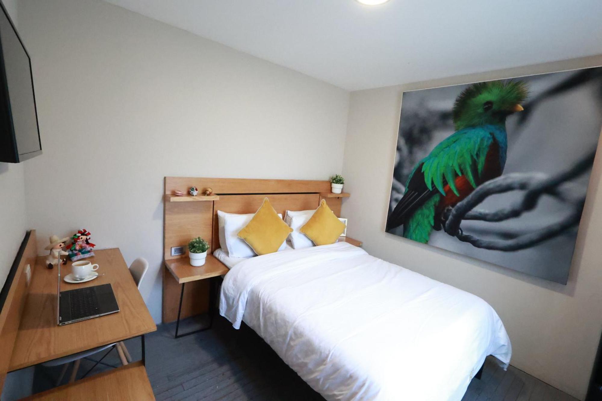 Casa Panuco Bed and Breakfast Μεξικό Εξωτερικό φωτογραφία